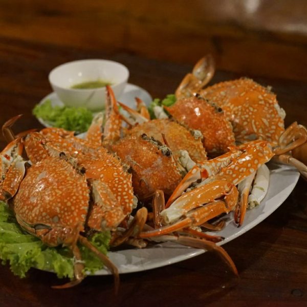 4932420137754891842.1a8e4db104ad699c406ff7a0c13c598a.23092909